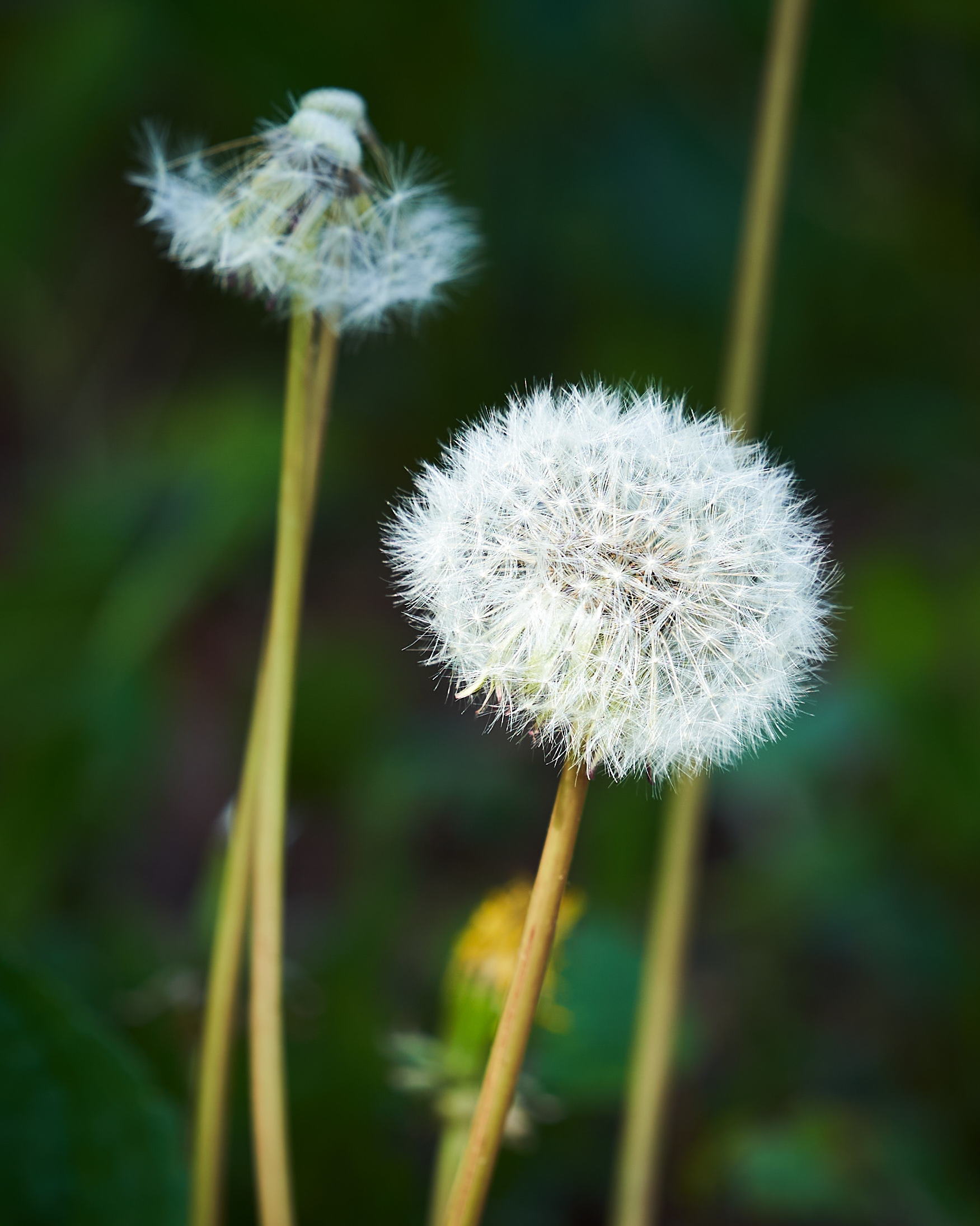 2022 05 08 Gruga 0493